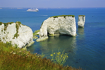 Old Harry Rocks, Isle of Purbeck, Dorset, England, UK