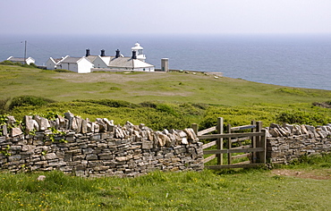 Durlston Country Park and Lighthouse, Isle of Purbeck, Dorset, England, United Kingdom, Europe