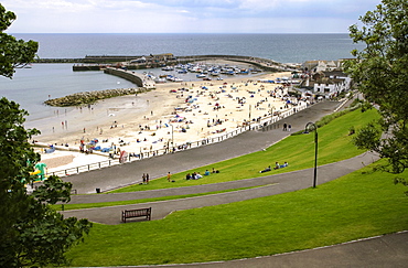 The Cobb and beach at Lyme Regis, Dorset, England, United Kingdom, Europe