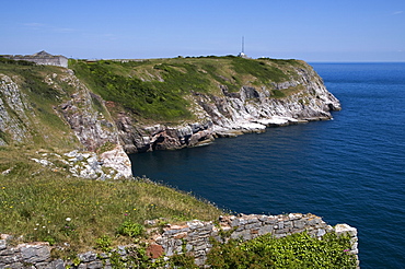 Berry Head, Brixham, Torbay, South Devon, England, United Kingdom, Europe