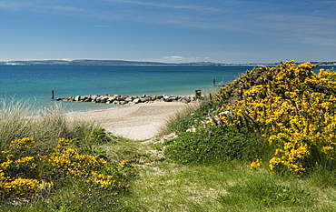 Beach between Hengistbury Head and Bournemouth with Poole Bay and Isle of Purbeck in the background, Dorset, England, United Kingdom, Europe