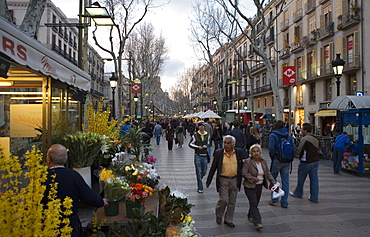 Las Ramblas in the evening, Barcelona, Catalonia, Spain, Europe