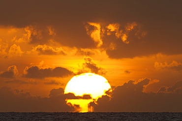 Sun rising out of the sea, Palm Cove, Cairns, North Queensland, Australia, Pacific