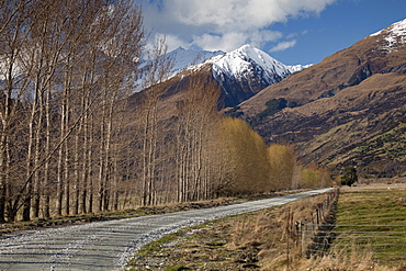 Glenorchy to Paradise Road, Queenstown, South Island, New Zealand, Pacific