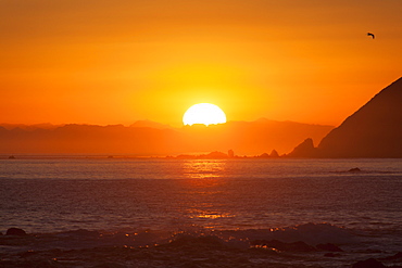 Sunset over Marlborough Sounds, South Island, from Owhiro Bay, Wellington, North Island, New Zealand, Pacific