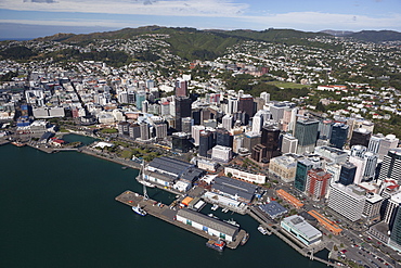 Aerial view of Wellington city centre and Queens Wharf, Wellington, North Island, New Zealand, Pacific