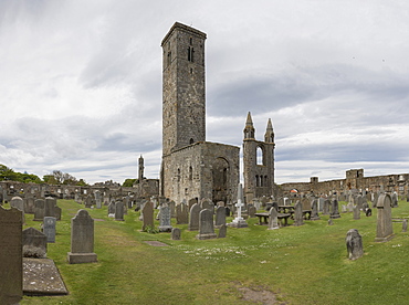 St. Andrews Cathedral ruins, St. Andrews, Fife, Scotland, United Kingdom, Europe