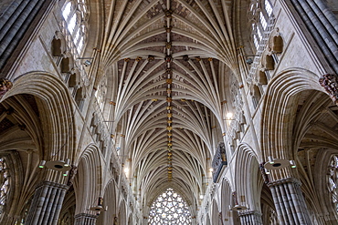 Nave vaulting looking West, Exeter Cathedral, Exeter, Devon, England, United Kingdom, Europe