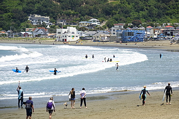 Surfers and walkers, Lyall Bay, Wellington, North Island, New Zealand, Pacific