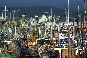 Crowded harbour at Girvan, Strathclyde, Scotland, United Kingdom, Europe