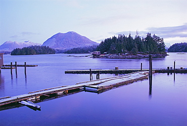 Tofino, Vancouver Island, British Columbia (B.C.), Canada, North America