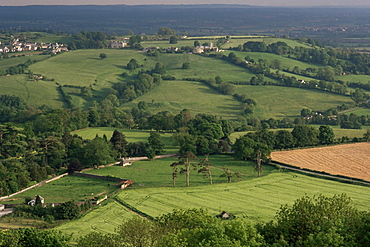 The Cotswolds near Dursley, Gloucestershire, England, United Kingdom, Europe