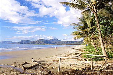 Four Mile Beach, Port Douglas, Queensland, Australia, Pacific