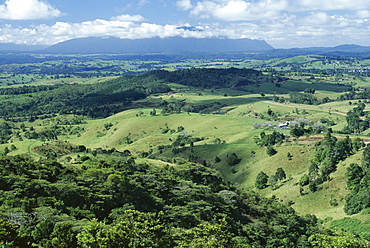 Malanda, Atherton Tableland, Queensland, Australia, Pacific