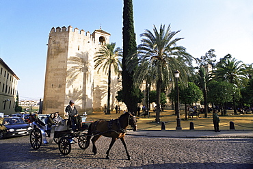 Alcazar de los Reyes Christianos, Cordoba, Andalucia, Spain, Europe