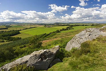 Northumberland National Park near Otterburn, Northumberland, England, United Kingdom, Europe