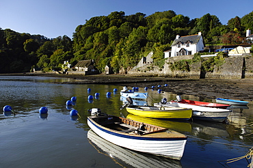 The Dart estuary at Dittisham, South Devon, England, United Kingdom, Europe