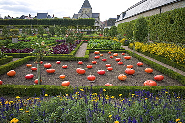 Vegetable garden, Chateau de Villandry, UNESCO World Heritage Site, Indre-et-Loire, Touraine, Loire Valley, France, Europe