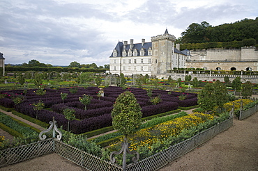 Gardens, Chateau de Villandry, UNESCO World Heritage Site, Indre-et-Loire, Touraine, Loire Valley, France, Europe