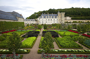 Gardens, Chateau de Villandry, UNESCO World Heritage Site, Indre-et-Loire, Touraine, Loire Valley, France, Europe