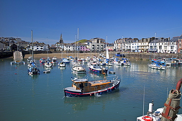 The Harbour, Ilfracombe, Devon, England, United Kingdom, Europe