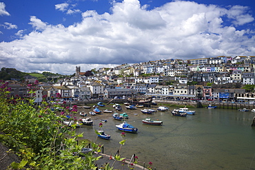 Brixham harbour, Devon, England, United Kingdom, Europe