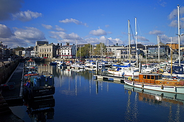 Sutton Harbour Marina, Plymouth, Devon, England, United Kingdom, Europe