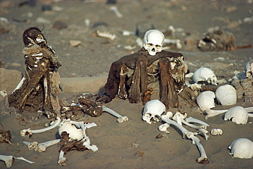 Human remains in a cemetery in the Nazca desert, Peru, South America