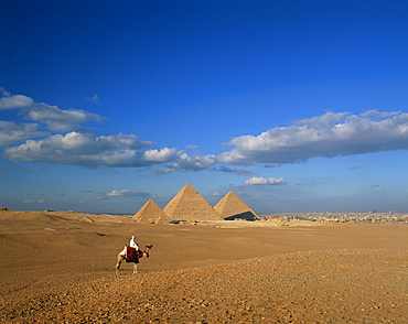 Camel rider at Giza Pyramids, Giza, UNESCO World Heritage Site, Cairo, Egypt, North Africa, Africa