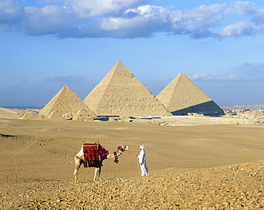 Camel rider at Giza Pyramids, Giza, Cairo, Egypt, Africa 