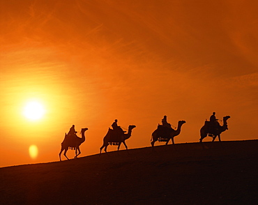 Riders silhouetted on camels at sunset, Giza, Cairo, Egypt, North Africa, Africa