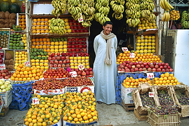 Smiling fruit stall owner, Cairo, Egypt, North Africa, Africa