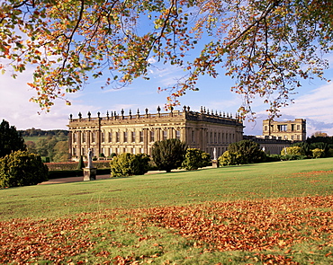 Chatsworth House and beech trees in autumn, Derbyshire, England, United Kingdom, Europe