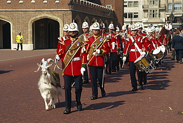 Royal Marine Band with goat mascot, London, England, United Kingdom, Europe