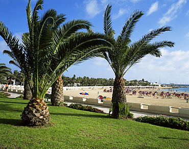 Promenade and beach at Cala de Fuste, Fuerteventura, Canary Islands, Spain, Atlantic, Europe