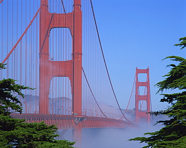 Morning fog surrounds the Golden Gate Bridge, in San Francisco, California, United States of America, North America