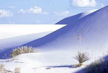 Sand dunes, White Sands Desert, New Mexico, United States of America, North America