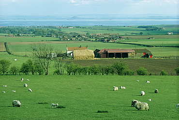 St. Monage with Firth of Forth in the distance, Fifeshire, Scotland, United Kingdom, Europe