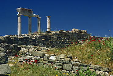 Temple of Apollo, Delos, UNESCO World Heritage Site, Greek Islands, Greece, Europe