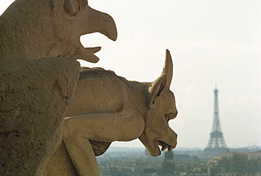 Gargoyles on Notre Dame Cathedral, and beyond, the Eiffel Tower, Paris, France, Europe