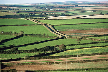 Fields near St. Austell, Cornwall, England, United Kingdom, Europe