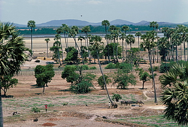 Deccan plateau, Tamil Nadu, India, Asia