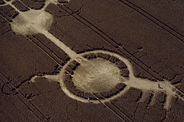 Early example of a crop circle, Avon Wiltshire border, England, United Kingdom, Europe