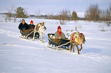 Southern Lapp man with reindeer sledge, Roros, Norway, Scandinavia, Europe