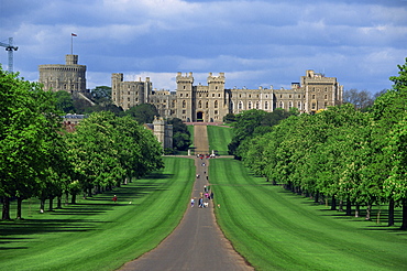 Long Walk from Windsor Castle, Berkshire, England, United Kingdom, Europe