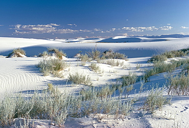 White Sands Desert, New Mexico, United States of America, North America