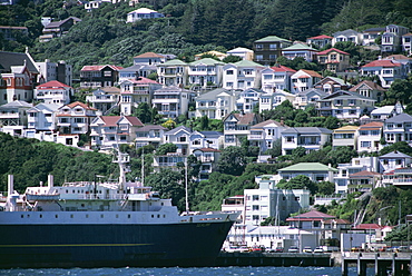 Harbour and houses, Wellington, North Island, New Zealand, Pacific