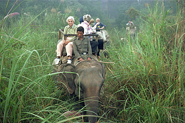 Tourists on elephant back in long grass, viewing game in the Chitwan National Park, Nepal, Asia