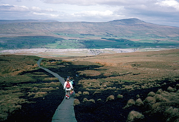 Land boardwalk laid to prevent path erosion, Yorkshire Dales, England, United Kingdom, Europe