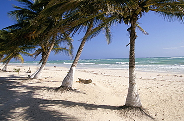 Caribbean beach on the Punta Paila road south of Tulum, Quintana Roo, Yucatan, Mexico, North America